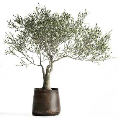 现代植物盆栽3D模型下载